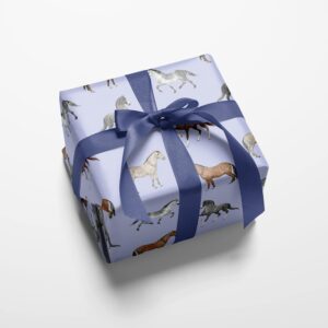 REVEL & Co Equus Horse Birthday Gift Wrap by Hoot LeRoux—Horse Wrapping Paper Folded flat, 27 x 39 inches