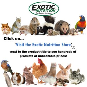 Wonder Nipple - Nursing Nipple for Baby Animals - Handfeeding Baby Squirrels, Sugar Gliders, Hedgehogs, Guinea Pigs, Racoons, Prairie Dogs, Opossums, and More! (Standard)