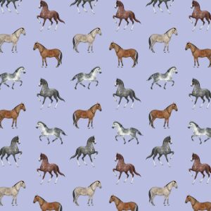 REVEL & Co Equus Horse Birthday Gift Wrap by Hoot LeRoux—Horse Wrapping Paper Folded flat, 27 x 39 inches