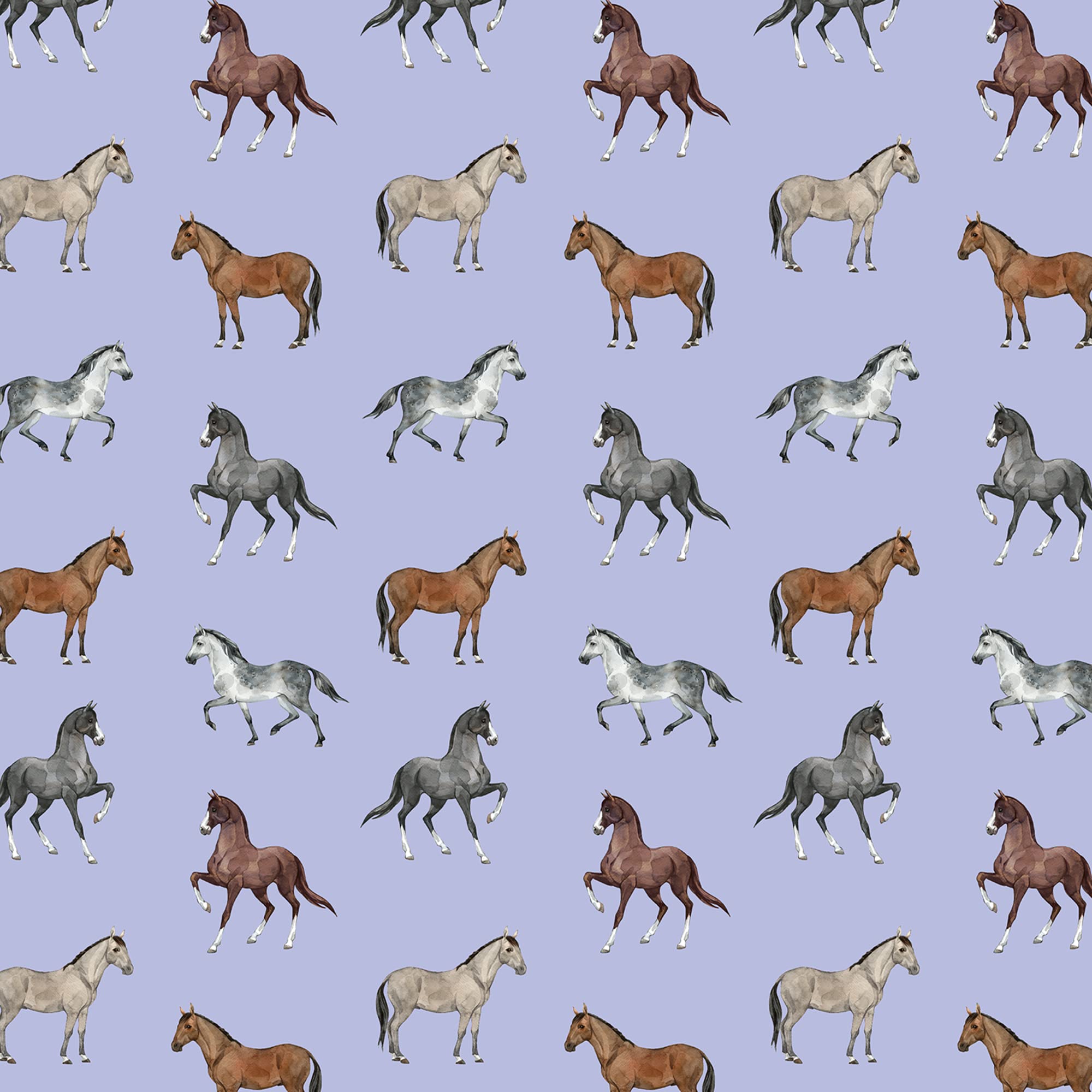 REVEL & Co Equus Horse Birthday Gift Wrap by Hoot LeRoux—Horse Wrapping Paper Folded flat, 27 x 39 inches