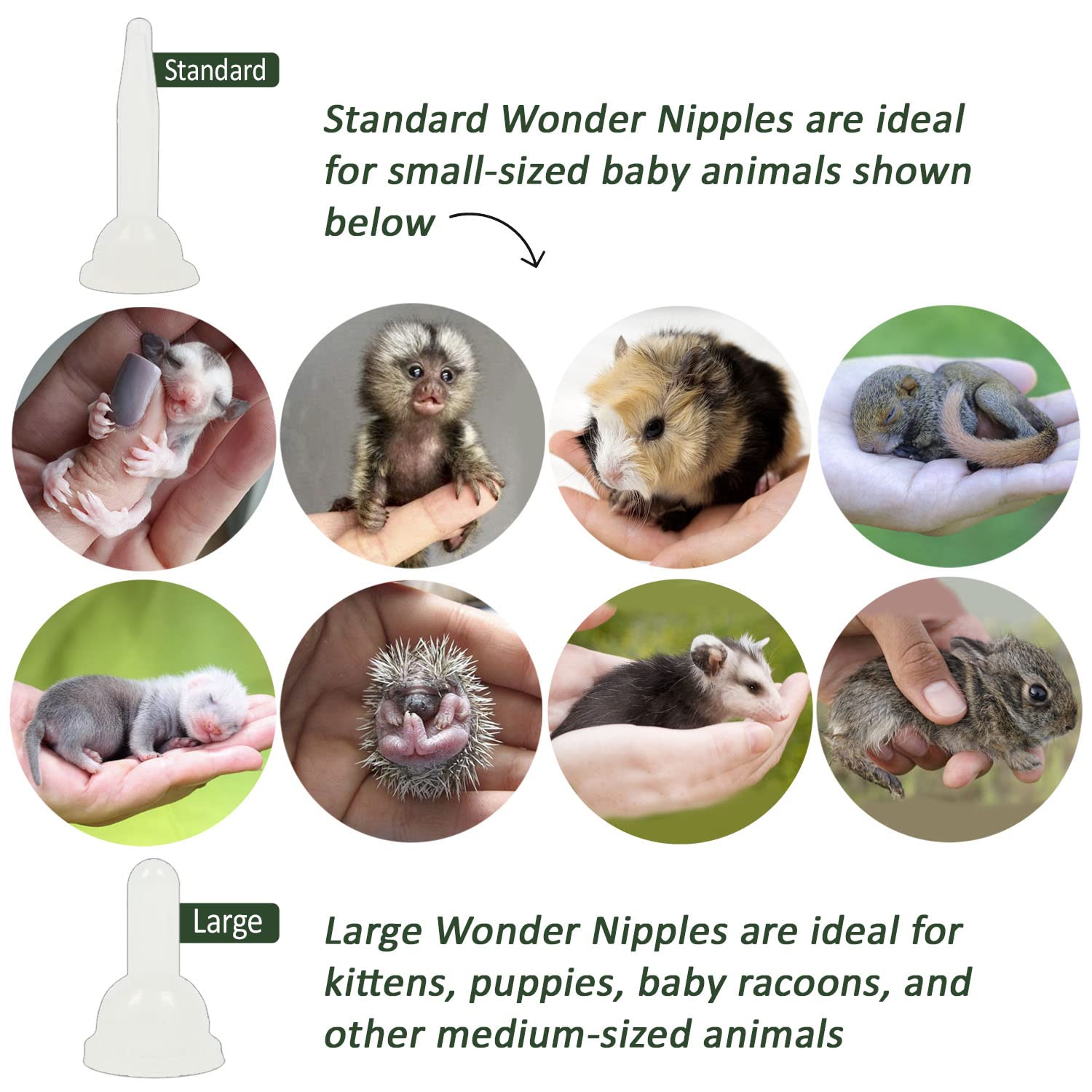 Wonder Nipple - Nursing Nipple for Baby Animals - Handfeeding Baby Squirrels, Sugar Gliders, Hedgehogs, Guinea Pigs, Racoons, Prairie Dogs, Opossums, and More! (Standard)