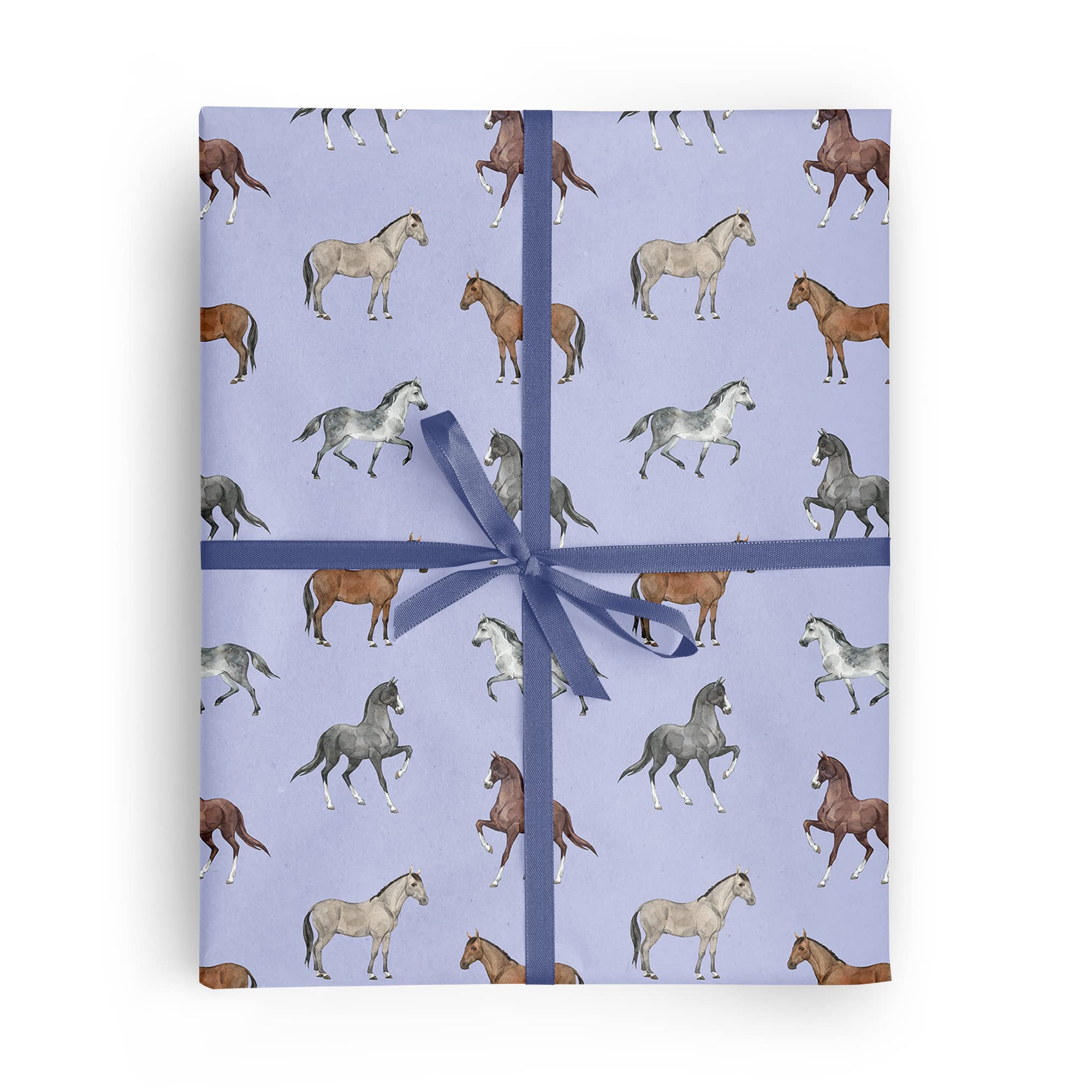 REVEL & Co Equus Horse Birthday Gift Wrap by Hoot LeRoux—Horse Wrapping Paper Folded flat, 27 x 39 inches