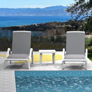 Domi Patio Chaise Lounge Chair Set of 3,Outdoor Aluminum Polypropylene Sunbathing Chair with Adjustable Backrest,Arm,Side Table,for Beach,Yard,Balcony,Poolside(2 Gray Chairs W/Table)