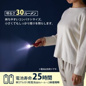 Asahi Denki Kasei APL-3202 LED Penlight, Red, Made in Japan, Diameter 1.3 x 5.8 inches (3.2 x 14.7 cm)