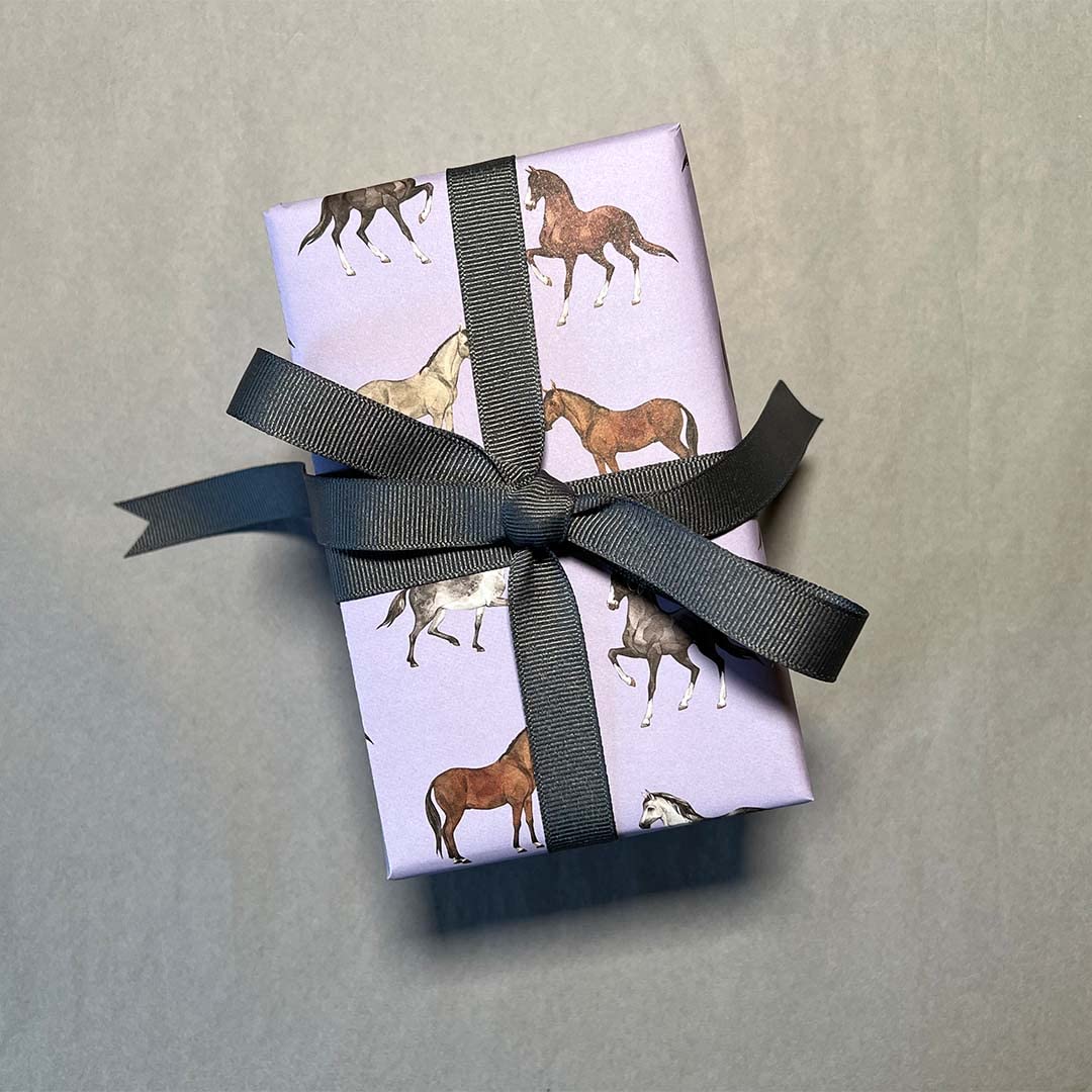 REVEL & Co Equus Horse Birthday Gift Wrap by Hoot LeRoux—Horse Wrapping Paper Folded flat, 27 x 39 inches