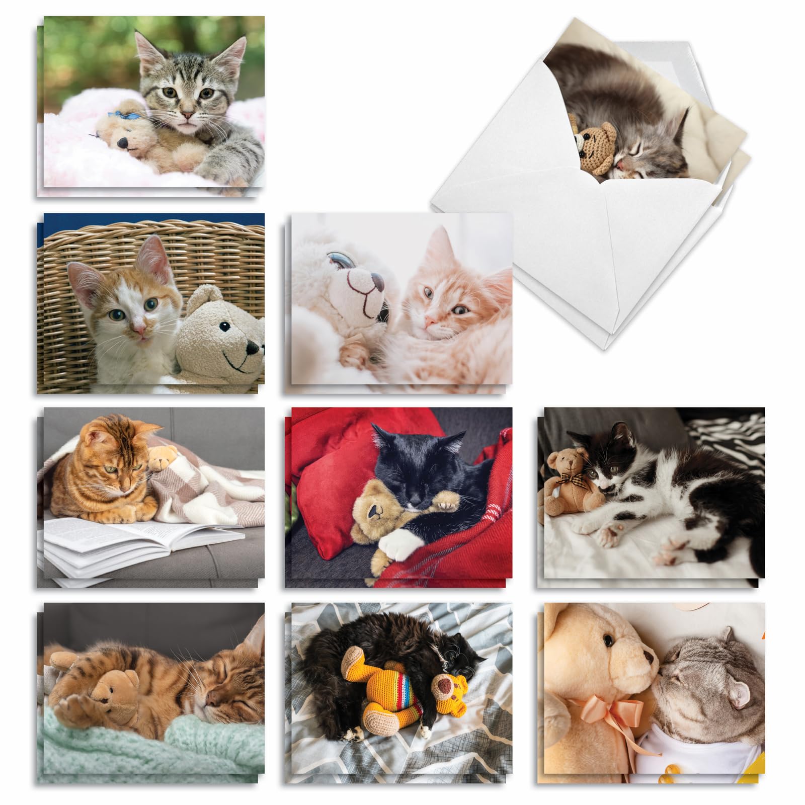 The Best Card Company - 20 Assorted Boxed Thank You Note Cards with Envelopes (4 x 5.12 Inch) - Teddy Cat AM2821TYG-B2x10