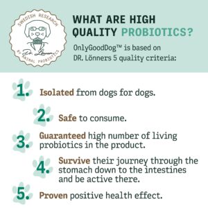 Only Good Dog Daily Probiotics for Dogs, Dog Probiotic Powder with Digestive Enzymes for Digestive Health, Gut Flora, Diarrhea, Fur & Skin Health, Immune Support - Flavorless (25 Sticks)