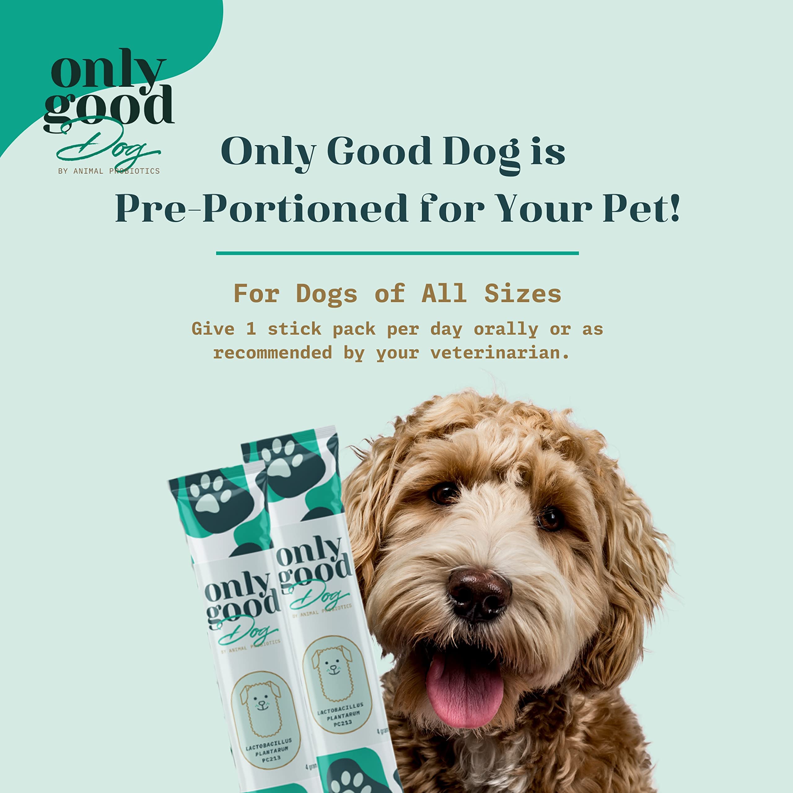 Only Good Dog Daily Probiotics for Dogs, Dog Probiotic Powder with Digestive Enzymes for Digestive Health, Gut Flora, Diarrhea, Fur & Skin Health, Immune Support - Flavorless (25 Sticks)