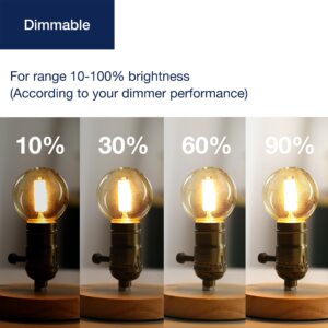 FLSNT G16.5 Dimmable LED Candelabra Bulbs 60W Equivalent, LED E12 Chandelier Light Bulbs, 550LM, CRI90, 5.5W, AC 120V, 6 Pack, 2700K Soft White