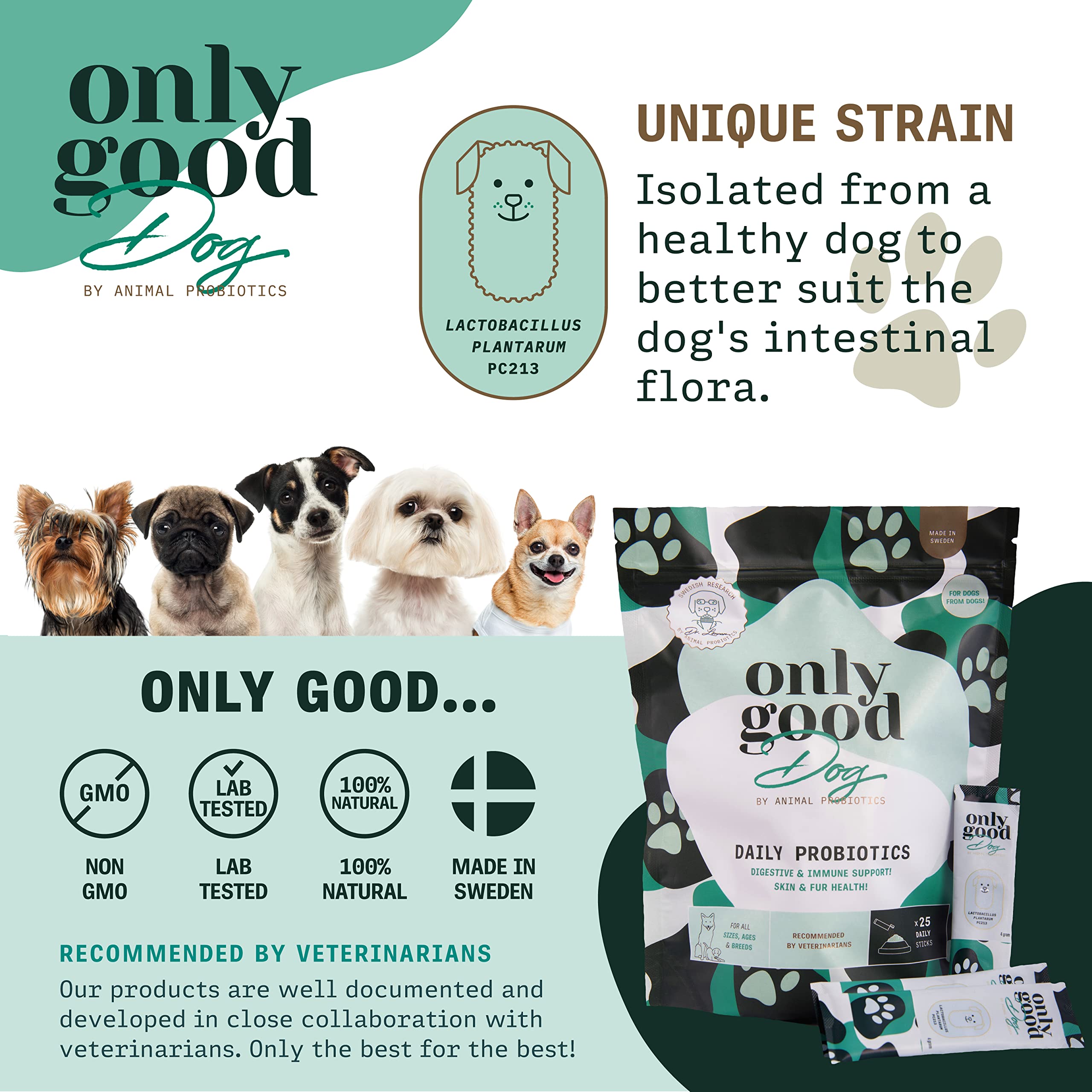 Only Good Dog Daily Probiotics for Dogs, Dog Probiotic Powder with Digestive Enzymes for Digestive Health, Gut Flora, Diarrhea, Fur & Skin Health, Immune Support - Flavorless (25 Sticks)