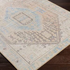 Mark&Day Washable Rugs, 9x12 Oak Lawn Traditional Tan Area Rug, Blue Beige Brown Carpet for Living Room, Bedroom or Kitchen (8'10" x 12', Machine Washable)