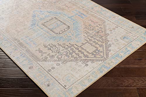 Mark&Day Washable Rugs, 9x12 Oak Lawn Traditional Tan Area Rug, Blue Beige Brown Carpet for Living Room, Bedroom or Kitchen (8'10" x 12', Machine Washable)