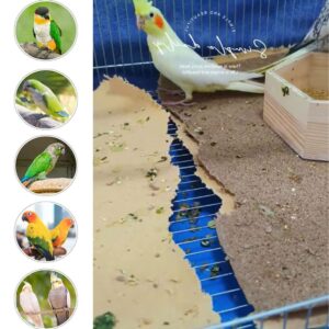 25PCS Gravel Paper for Bird Cage,11" x17" Bird cage Liner Gravel Paper Special for Bird Cage in sea Sand-Great for Hard-Billed Birds Safe& Clean & Easy for Improved Digestion…