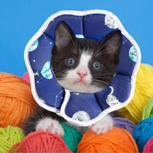 Soft Cat Cone Collar Adjustable Recovery Cat Cone Waterproof Protection Postoperative Kitten Starry Sky Blue Cat Collar Comfortable Protective Pet Collar for Cat Kitten Dogs Rabbits (Small)