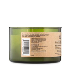 Cannabolish Odor Removing 3-Wick Candle, 16 oz