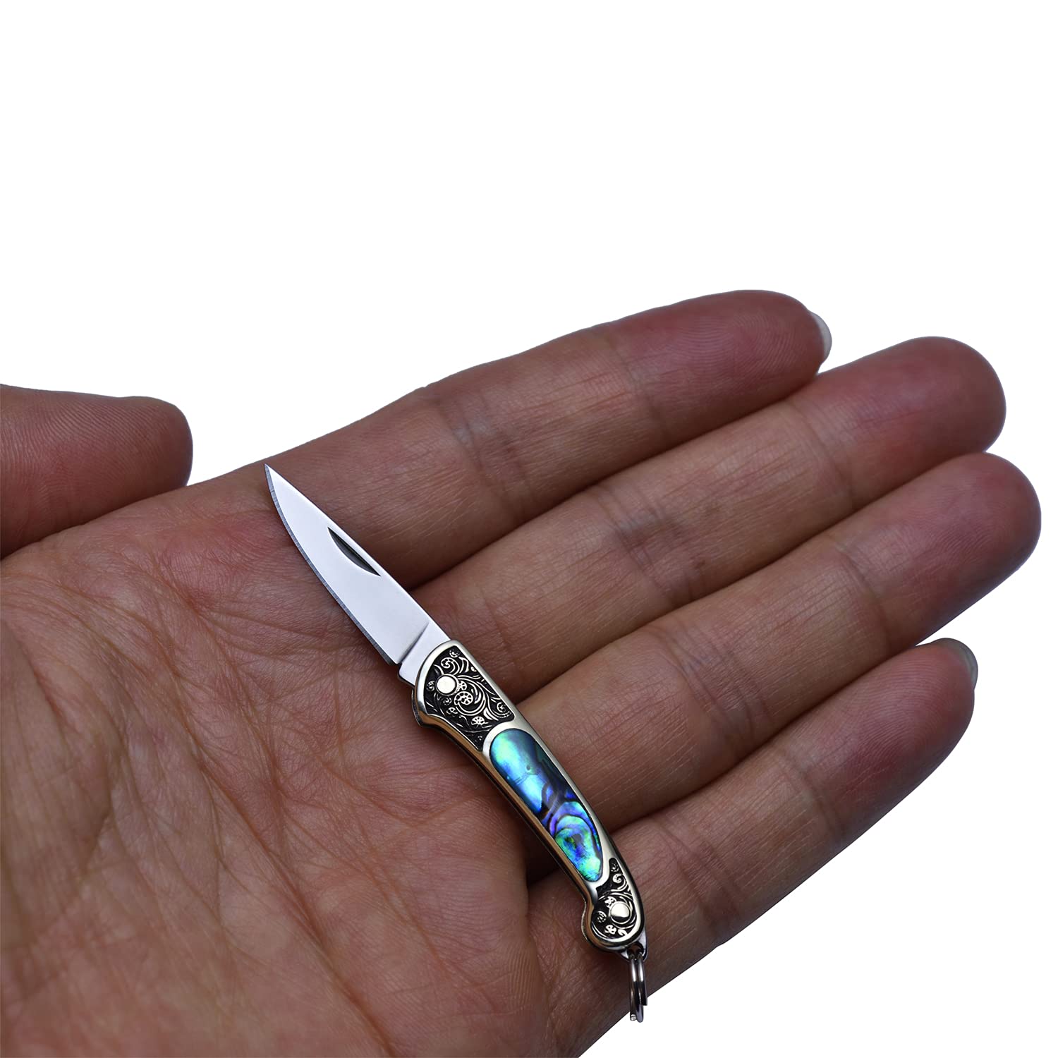 JPCRMOV Compact Pocket Knife Keychain for Women, Mini Folding Knife, Tiny EDC Knife, Abalone Shell Handle, Blade Length 1.06", Weighs only 9 Grams