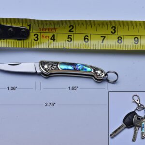 JPCRMOV Compact Pocket Knife Keychain for Women, Mini Folding Knife, Tiny EDC Knife, Abalone Shell Handle, Blade Length 1.06", Weighs only 9 Grams