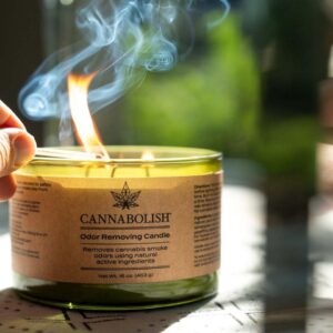 Cannabolish Odor Removing 3-Wick Candle, 16 oz