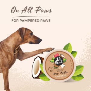 PET Head On All Paws Coconut Paw Butter 1.4 oz. Nourishing Paw Balm, Moisturizes Paws and Noses to Leave Them Soft and Crack-Free, Lickable, Gentle Formula for Puppies. Made in USA