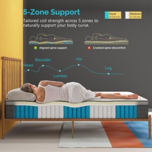 Serweet 8 Inch Memory Foam Hybrid Queen Mattress - 5-Zone Pocket Innersprings for Motion Isolation -Heavier Coils for Durable Support -Medium Firm -Fiberglass-Free - Made in Century-Old Factory