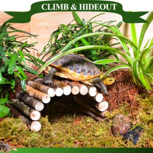 HERCOCCI Bearded Dragon Tank Accessories, Large Reptile Bridge Hammock Flexible - Jungle Climbing Vines and Leaves with Suction Cups Habitat Décor for Hiding& Climbing Snake Gecko Lizard Chameleon