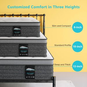 Serweet 8 Inch Memory Foam Hybrid Queen Mattress - 5-Zone Pocket Innersprings for Motion Isolation -Heavier Coils for Durable Support -Medium Firm -Fiberglass-Free - Made in Century-Old Factory