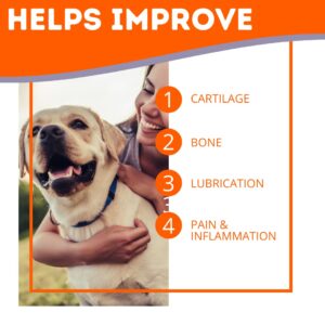 K9 Mobility – Dog Hip & Joint Supplement for Developing Strength, Function, & Relief – x60 Bacon Flavor Chew Tablets