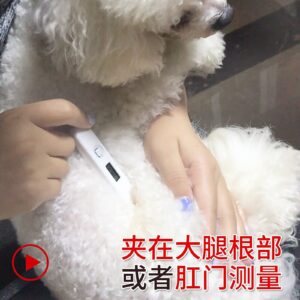 Pet Dog Thermometer cat Dog Thermometer pet cat Thermometer Electronic Thermometer Dog Thermometer pet Temperature pet Fairy