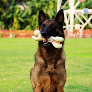 Tikaton Indestructible Dog Chew Toys for Aggressive Chewers, Bacon Flavor Durable Dog Teething Chew Toys Bones for Large Dogs