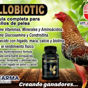 VITOFARMA Gallobiotic Natural Multivitamin for Rooster, Hens - 100 Tablets | Vitamina Completas para Gallos