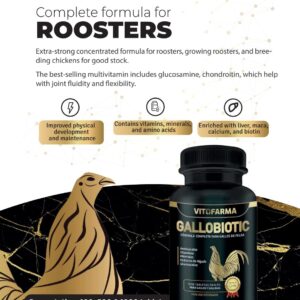 VITOFARMA Gallobiotic Natural Multivitamin for Rooster, Hens - 100 Tablets | Vitamina Completas para Gallos