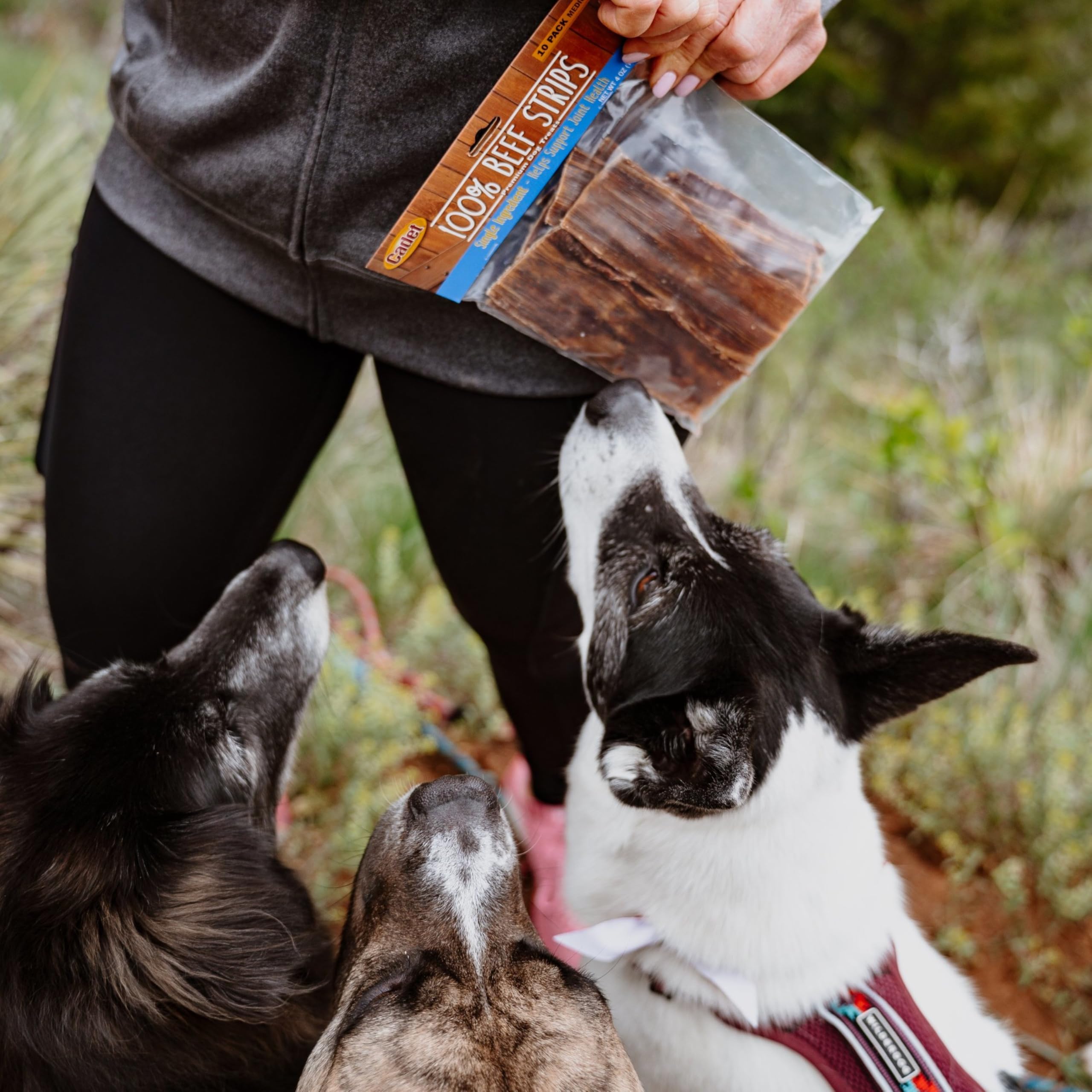 Cadet Slim Cut 100% Beef Strips Dog Treats - Long-Lasting, Healthy, & Natural Beef Esophagus Treats for Small & Large Dogs - Low Calorie & High Protein Dog Chews, Medium (2.8 oz.)