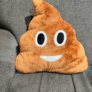 HongMall Cute Plush Poop Pillow Cushion Toy Throw Pillows Gift for Friends, Kids and Dogs, 13.8x13.8 Inch (Brown)