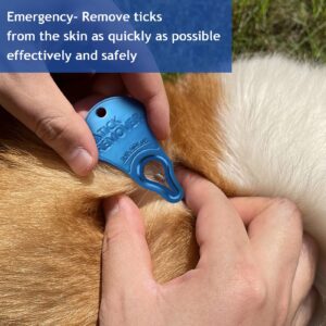 JOTOVO Tick Remover Tool Portable, Tick Removal for Pet and Humans, Safe and Reliable, Pain-Free, Essential Tools for Outdoor Activities- 3 pcs