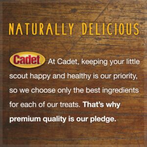 Cadet Slim Cut 100% Beef Strips Dog Treats - Long-Lasting, Healthy, & Natural Beef Esophagus Treats for Small & Large Dogs - Low Calorie & High Protein Dog Chews, Medium (2.8 oz.)