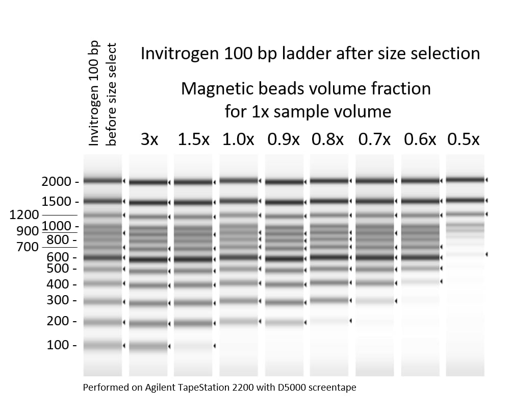 Magnetic Beads for DNA Purification, 100-1000 Base Pairs Range