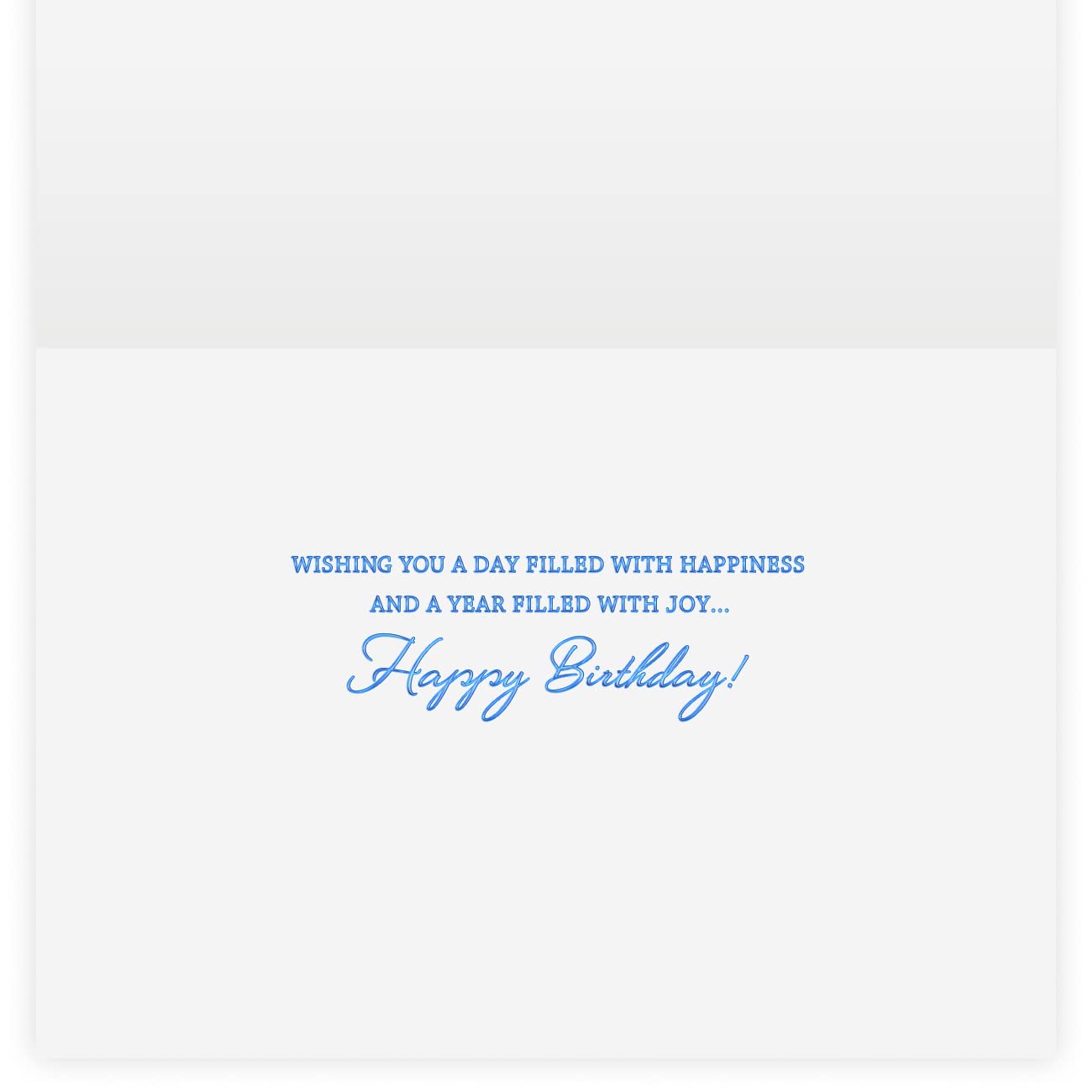 The Gallery Collection, 1 Count Card Pack, Birthday Card with Pearl Lined Envelope (Birthday Explosion)