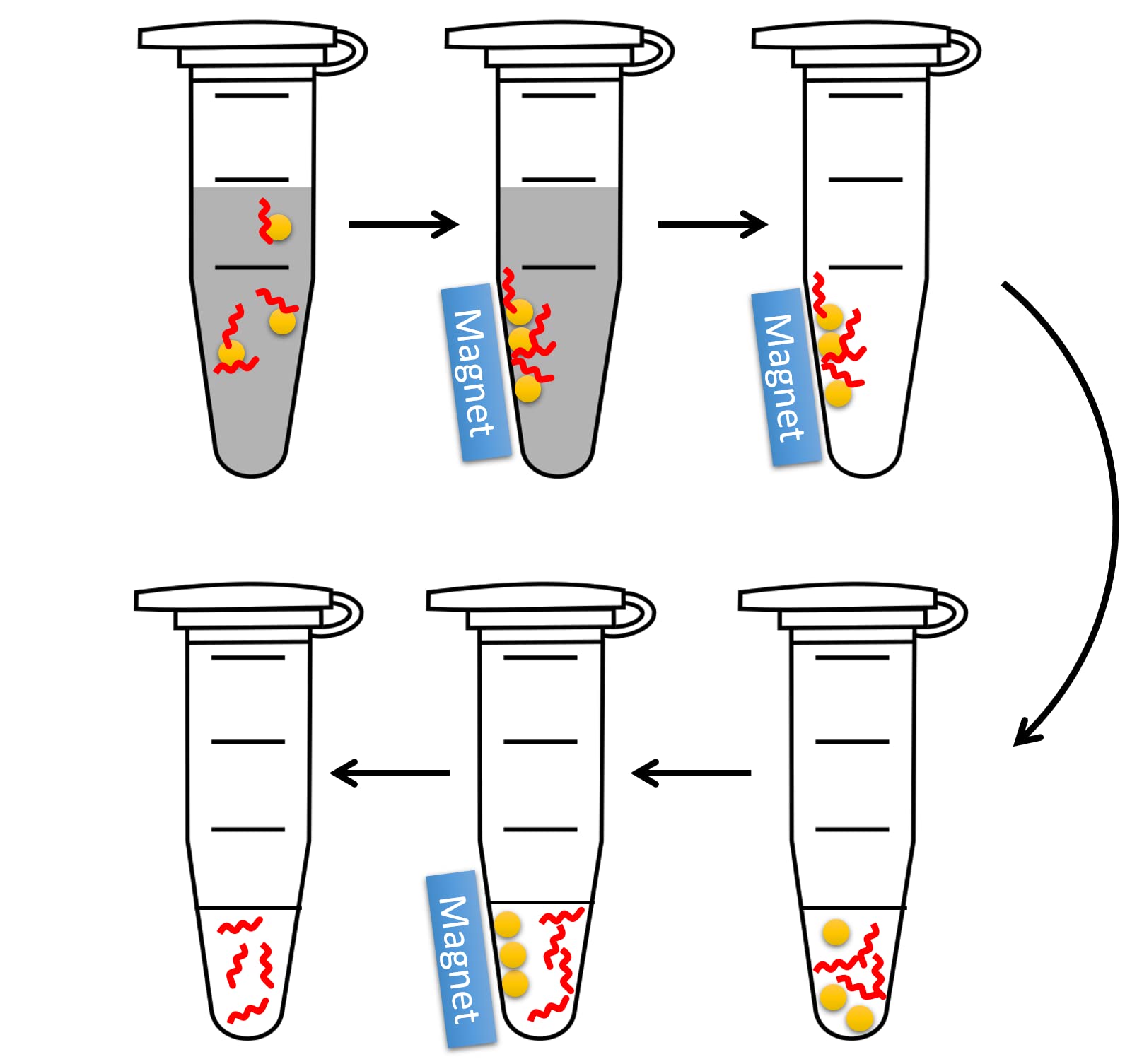 Magnetic Beads for DNA Purification, 100-1000 Base Pairs Range