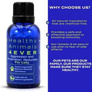 HealthyAnimals4Ever All-Natural Cat Calming Tablets for Stress and Aggressive Behavior - Help Reduce Cat Aggression/Frustration & Promote Relaxation - Homeopathic & Highly Effective - 300 Tablets