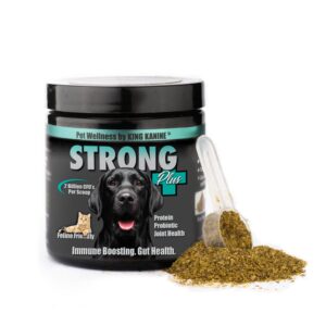 king kanine strong plus probiotic, protein & joints 6 oz | organic powder to improve join mobility & gut health | supplement for dogs care made with minerals & vitamins | veterinarian approved