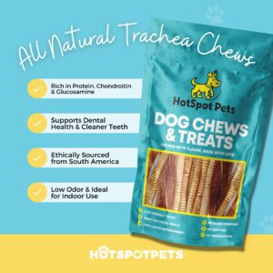 hotspot pets Premium 6'' Beef Trachea for Dogs Large - All Natural Long Lasting Dog Chews Rich in Glucosamine & Chondroitin 100% Beef Chews Single Ingredient Grass Fed Dog Treats - (8 Count)