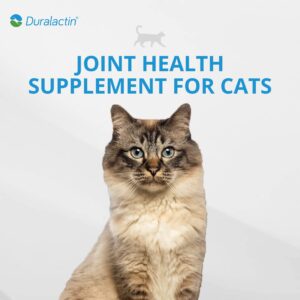 PRN Pharmacal Duralactin Feline Fatty Acid Soft Chews - Joint Health Supplement for Cats & Kittens to Help Manage Soreness - Omega-3 Fatty Acid Supplement - Chicken Liver Flavor - 60 Chews