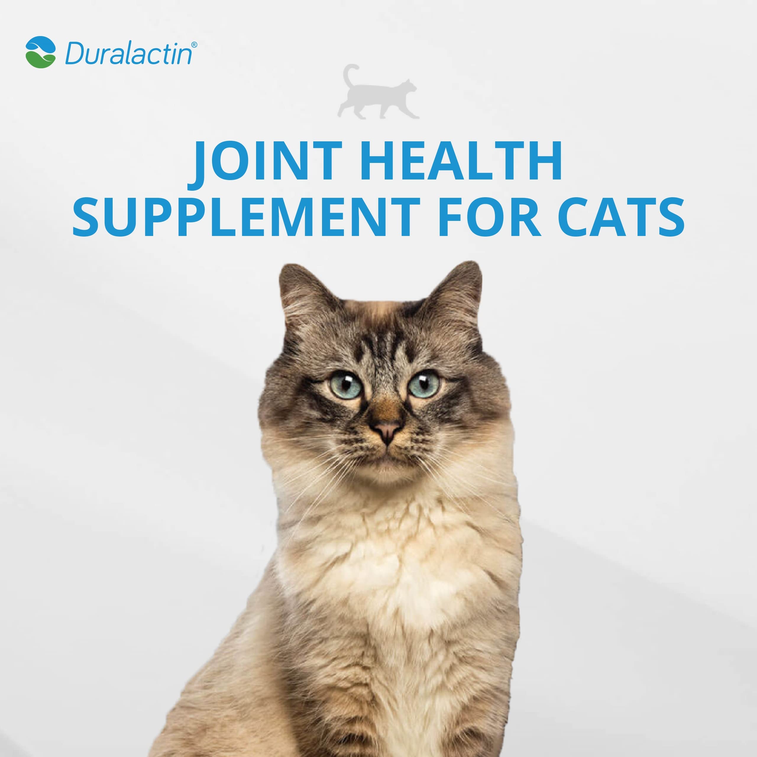 PRN Pharmacal Duralactin Feline Fatty Acid Soft Chews - Joint Health Supplement for Cats & Kittens to Help Manage Soreness - Omega-3 Fatty Acid Supplement - Chicken Liver Flavor - 60 Chews