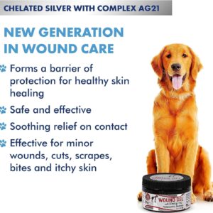 PetSilver Wound Gel with Complex AG21 & Hemp Oil | Chelated Silver 200 ppm | Dog & Cats | Wounds | Hot Spots | Itches | Skin Irritations | Burns | Rashes | Sores | Homeopathic Relief | 4oz