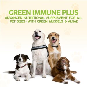 King Kanine Green Inmune Plus Multivitamin and Mineral 6 oz | Organic Powder to Improve Join Mobility & Allergy Relief | Inflammatory Supplement for Dogs Care | Veterinarian Approved