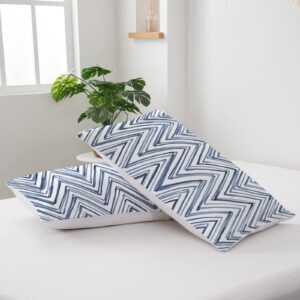 TOPTREE Geometric Blue Duvet Cover Queen - Modern Indigo Blue Chevron Bedding Set 3 Piece Blue and White Bed Set for Women Adults (Queen, Blue Chevron)