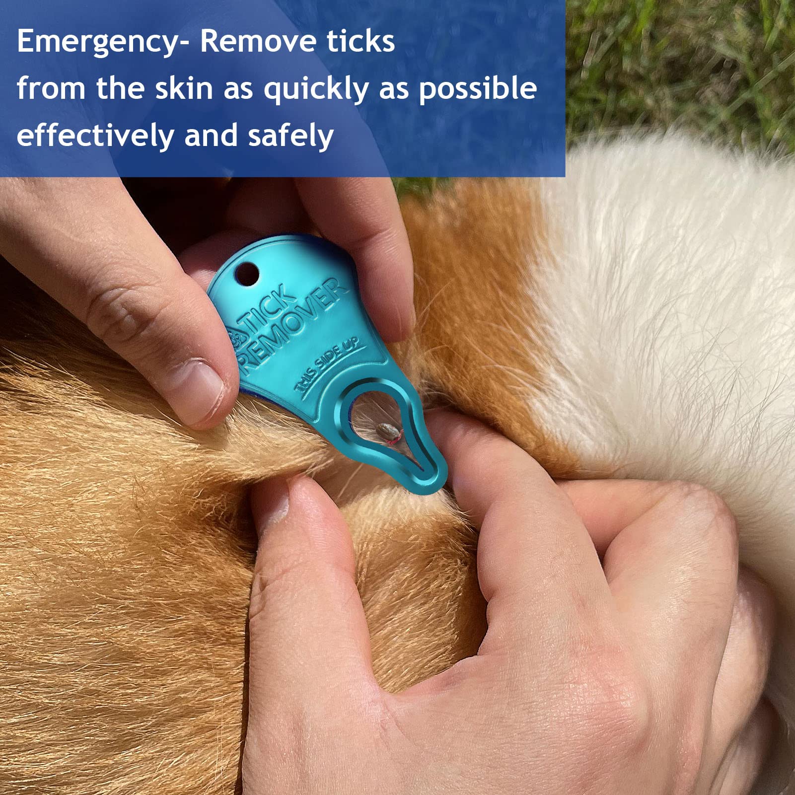 JOTOVO 3 Pack Tick Remover Tool Portable, Tick Removal for Pet and Humans, Safe and Reliable, Pain-Free, Essential Tools for Outdoor Activities