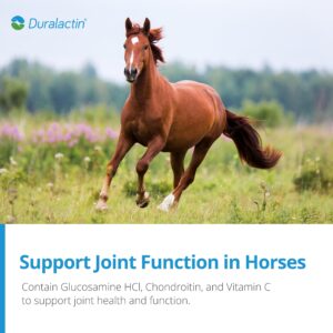 PRN Pharmacal Duralactin Equine Joint Plus Pellets - Joint Health Support Supplement for Horses Helps Support Healthy Cartilage, Joint Function & Soreness Management - 3.75 lbs