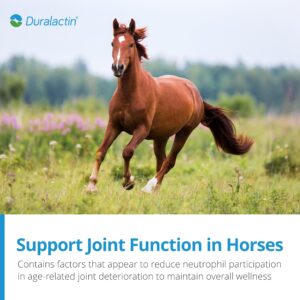 PRN Pharmacal Duralactin Equine Joint Pellets - Joint Health Supplement for Horses That Helps Maintain Healthy Cartilage, Joint Function & Manage Chronic Soreness - 1.875 lbs