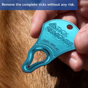 JOTOVO 3 Pack Tick Remover Tool Portable, Tick Removal for Pet and Humans, Safe and Reliable, Pain-Free, Essential Tools for Outdoor Activities